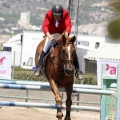Poni Club