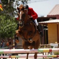 Poni Club