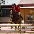 Poni Club
