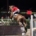 Poni Club