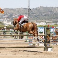 Poni Club