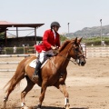 Poni Club