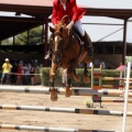 Poni Club