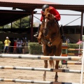 Poni Club
