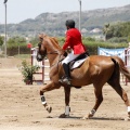 Poni Club