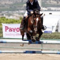 Poni Club