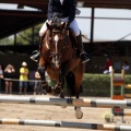 Poni Club