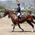 Poni Club