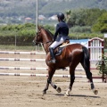 Poni Club