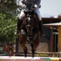 Poni Club