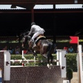 Poni Club