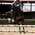 Poni Club