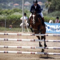 Poni Club