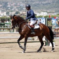 Poni Club