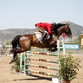 Poni Club