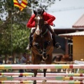 Poni Club