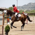 Poni Club