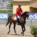 Poni Club