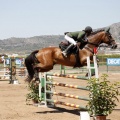 Poni Club