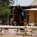 Poni Club