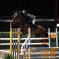 Poni Club