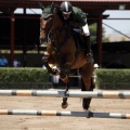 Poni Club