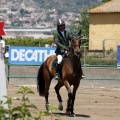 Poni Club