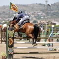 Poni Club