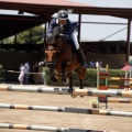 Poni Club