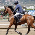 Poni Club
