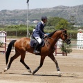 Poni Club
