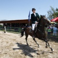 Poni Club