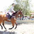 Poni Club