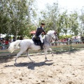 Poni Club