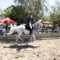 Poni Club