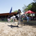 Poni Club