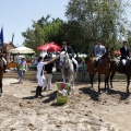 Poni Club