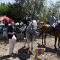 Poni Club