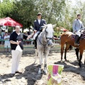 Poni Club