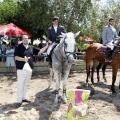 Poni Club