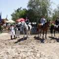 Poni Club