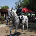 Poni Club
