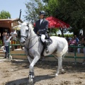 Poni Club