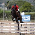 Poni Club