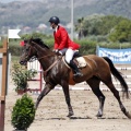 Poni Club