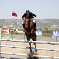 Poni Club