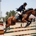 Poni Club