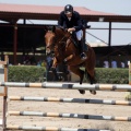 Poni Club