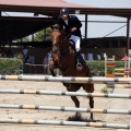 Poni Club