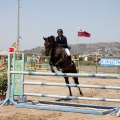 Poni Club